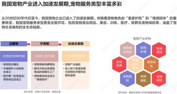 3.6億銷售額！寵物用品雙11整月戰報解讀，日用品消費展現強勁增長